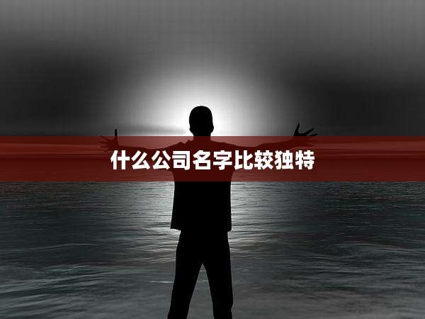 什么公司名字比较独特