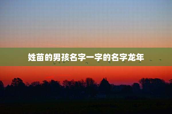 姓苗的男孩名字一字的名字龙年