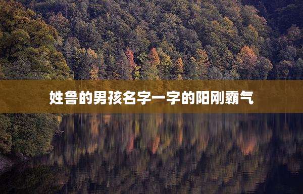 姓鲁的男孩名字一字的阳刚霸气