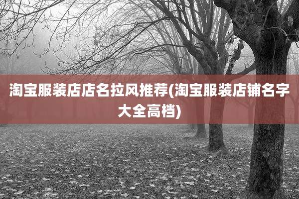 淘宝服装店店名拉风推荐(淘宝服装店铺名字大全高档)