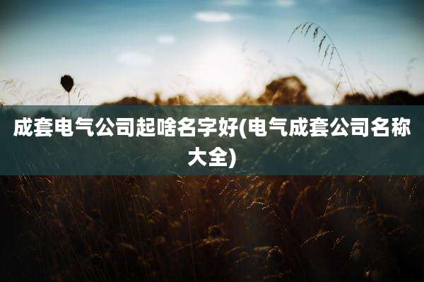 成套电气公司起啥名字好(电气成套公司名称大全)