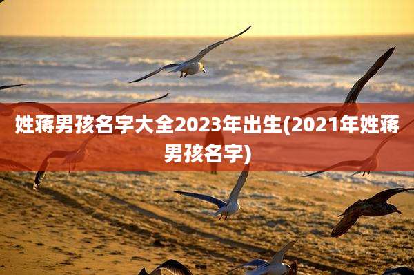 姓蒋男孩名字大全2023年出生(2021年姓蒋男孩名字)