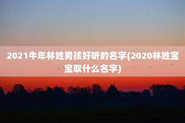 2021牛年林姓男孩好听的名字(2020林姓宝宝取什么名字)