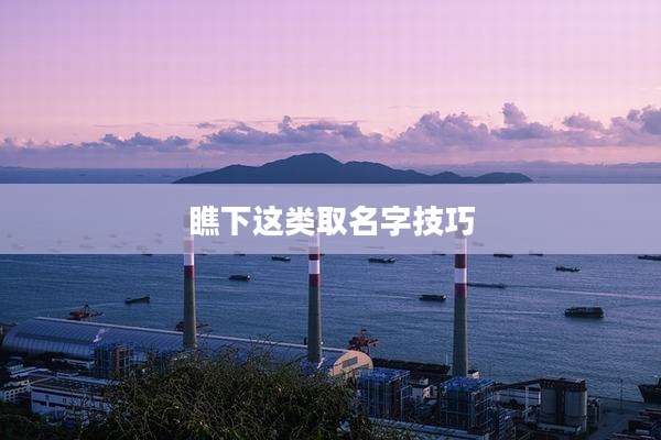 瞧下这类取名字技巧
