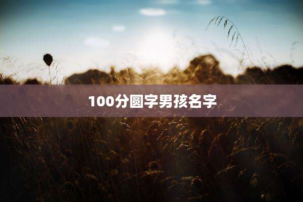 100分圆字男孩名字