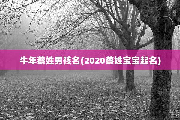 牛年蔡姓男孩名(2020蔡姓宝宝起名)