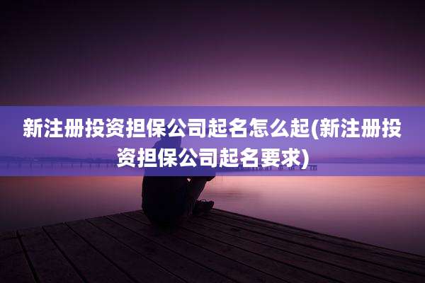 新注册投资担保公司起名怎么起(新注册投资担保公司起名要求)