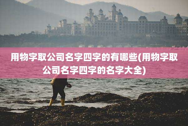 用物字取公司名字四字的有哪些(用物字取公司名字四字的名字大全)