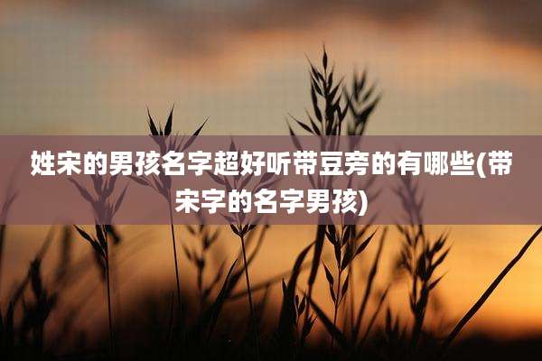 姓宋的男孩名字超好听带豆旁的有哪些(带宋字的名字男孩)