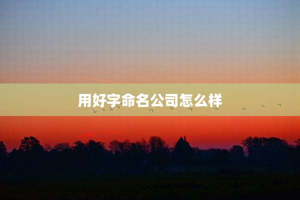 用好字命名公司怎么样