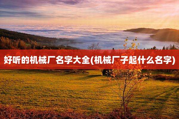 好听的机械厂名字大全(机械厂子起什么名字)