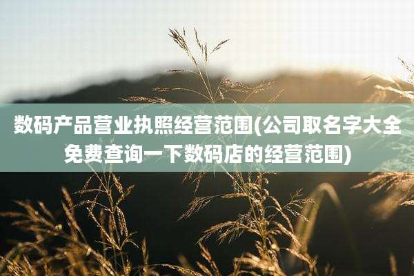 数码产品营业执照经营范围(公司取名字大全免费查询一下数码店的经营范围)
