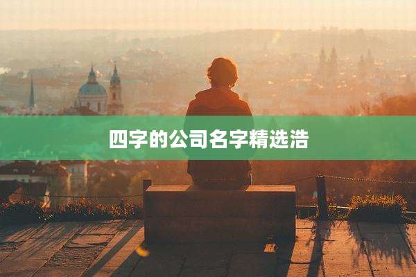 四字的公司名字精选浩