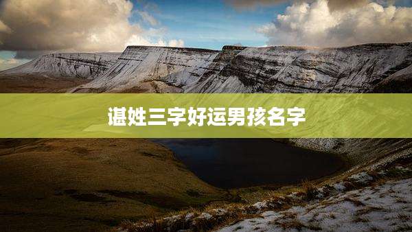 谌姓三字好运男孩名字