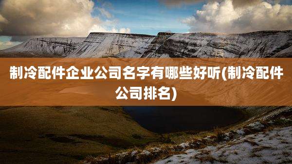 制冷配件企业公司名字有哪些好听(制冷配件公司排名)