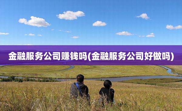 金融服务公司赚钱吗(金融服务公司好做吗)