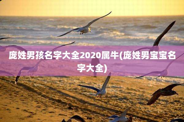 庞姓男孩名字大全2020属牛(庞姓男宝宝名字大全)