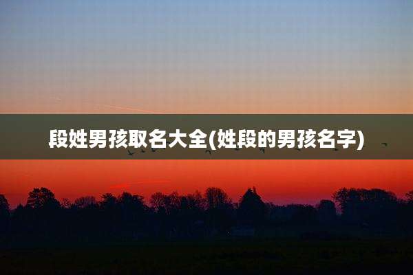 段姓男孩取名大全(姓段的男孩名字)