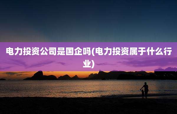 电力投资公司是国企吗(电力投资属于什么行业)