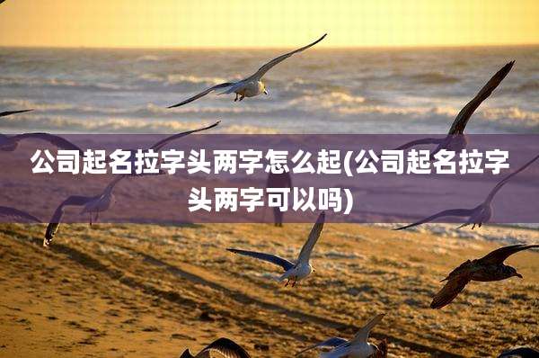 公司起名拉字头两字怎么起(公司起名拉字头两字可以吗)