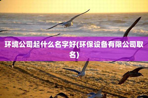 环境公司起什么名字好(环保设备有限公司取名)