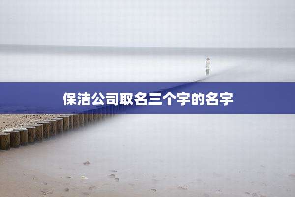 保洁公司取名三个字的名字