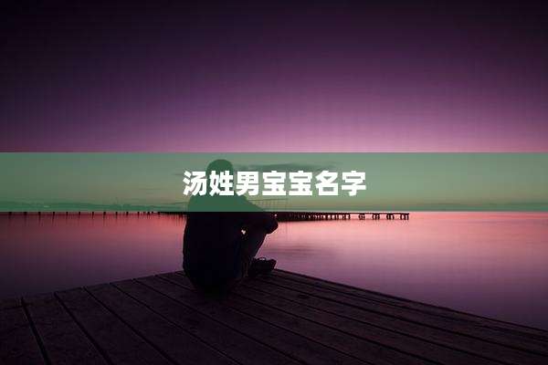 汤姓男宝宝名字