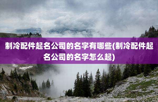 制冷配件起名公司的名字有哪些(制冷配件起名公司的名字怎么起)
