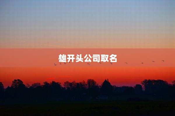 雄开头公司取名