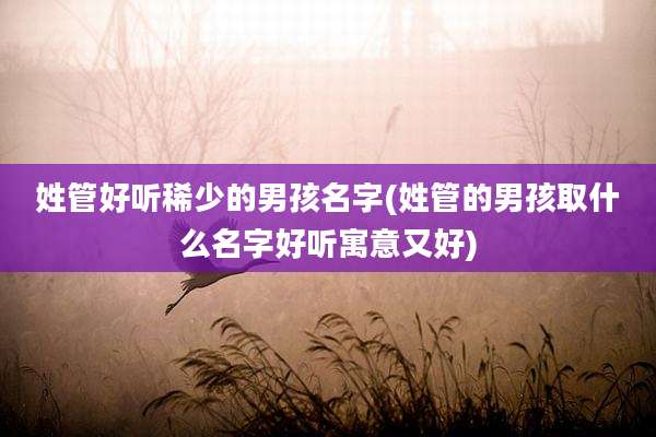 姓管好听稀少的男孩名字(姓管的男孩取什么名字好听寓意又好)