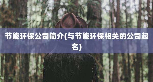 节能环保公司简介(与节能环保相关的公司起名)