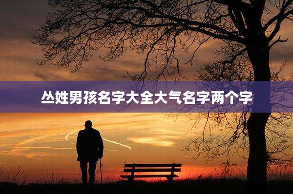 丛姓男孩名字大全大气名字两个字