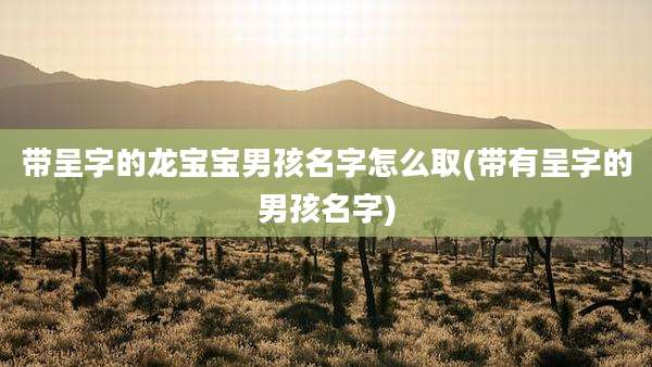 带呈字的龙宝宝男孩名字怎么取(带有呈字的男孩名字)