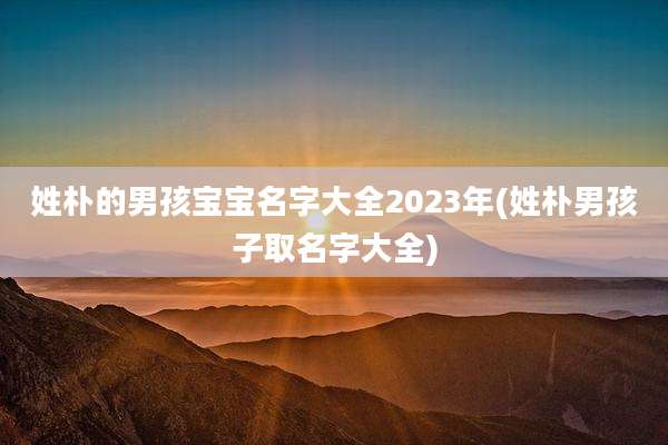 姓朴的男孩宝宝名字大全2023年(姓朴男孩子取名字大全)