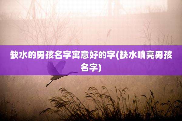 缺水的男孩名字寓意好的字(缺水响亮男孩名字)