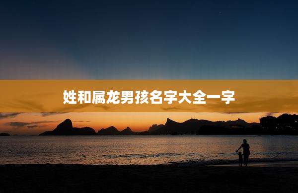 姓和属龙男孩名字大全一字