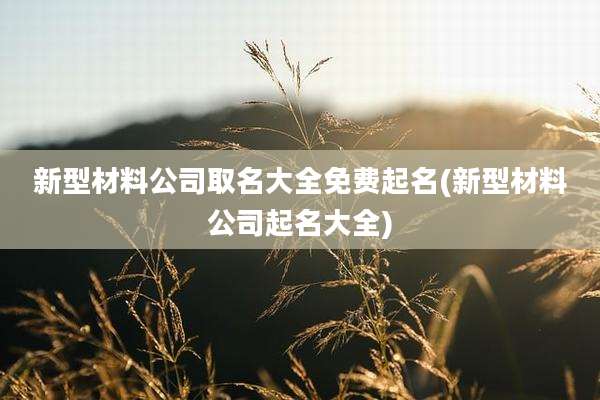 新型材料公司取名大全免费起名(新型材料公司起名大全)