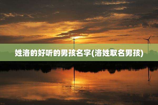 姓洛的好听的男孩名字(洛姓取名男孩)