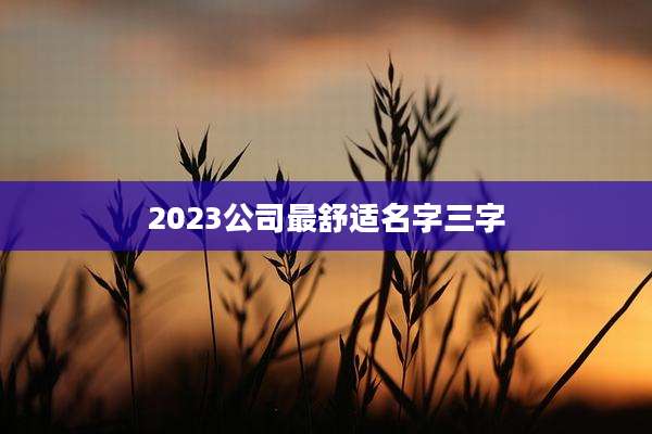 2023公司最舒适名字三字