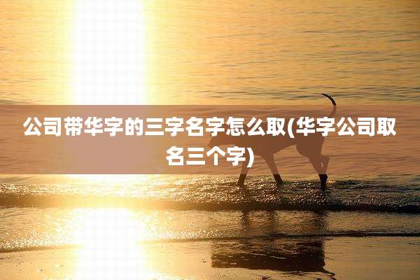 公司带华字的三字名字怎么取(华字公司取名三个字)