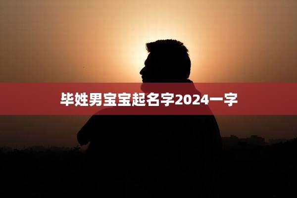 毕姓男宝宝起名字2024一字