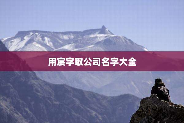 用宸字取公司名字大全