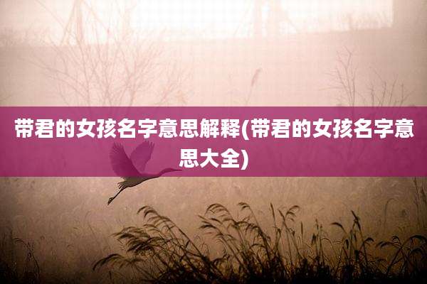 带君的女孩名字意思解释(带君的女孩名字意思大全)