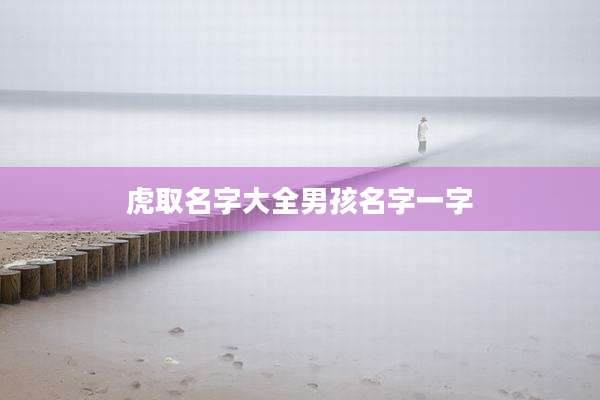 虎取名字大全男孩名字一字