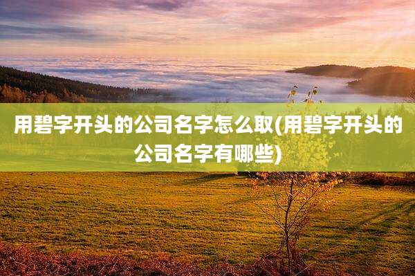 用碧字开头的公司名字怎么取(用碧字开头的公司名字有哪些)