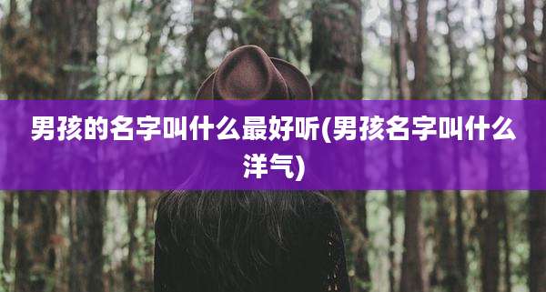 男孩的名字叫什么最好听(男孩名字叫什么洋气)