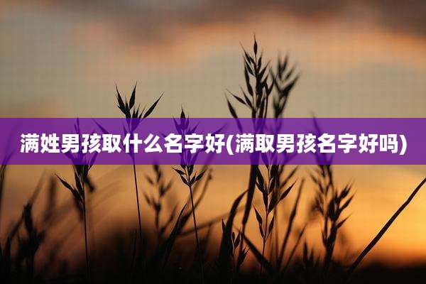 满姓男孩取什么名字好(满取男孩名字好吗)