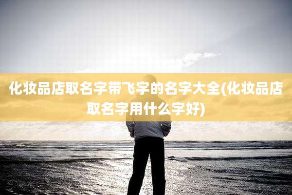 化妆品店取名字带飞字的名字大全(化妆品店取名字用什么字好)