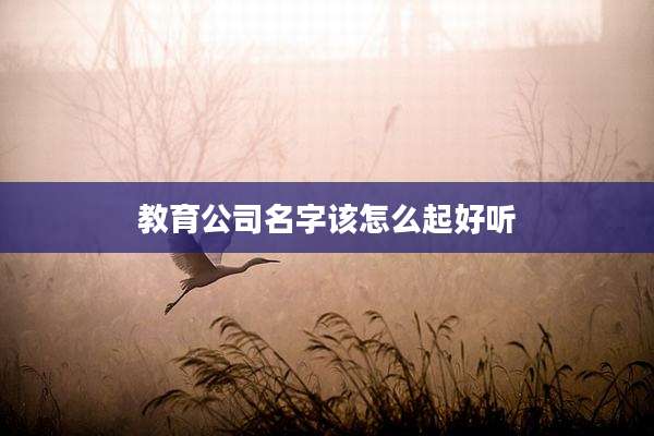 教育公司名字该怎么起好听
