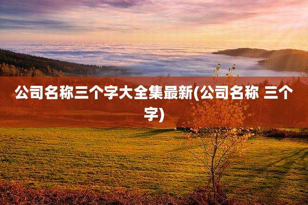 公司名称三个字大全集最新(公司名称 三个字)